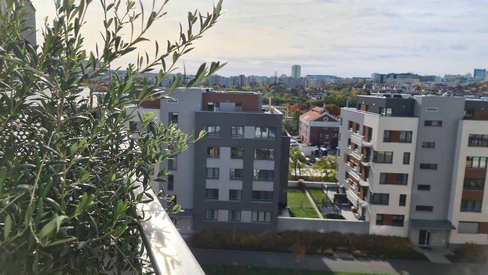 Akustická úprava stěny, WOLF desky